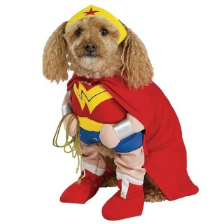Illustration for article titled The Wonderful World Of Dog Cosplay